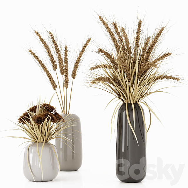 Bouquets with dry plants. spikelets. grass and chrysanthemums 3DSMax File - thumbnail 1