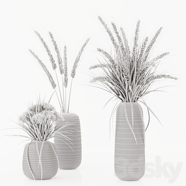 Bouquets with dry plants. spikelets. grass and chrysanthemums 3DSMax File - thumbnail 3