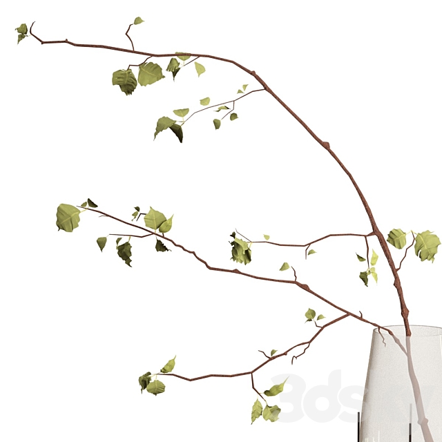 Branch in a vase 3DSMax File - thumbnail 4