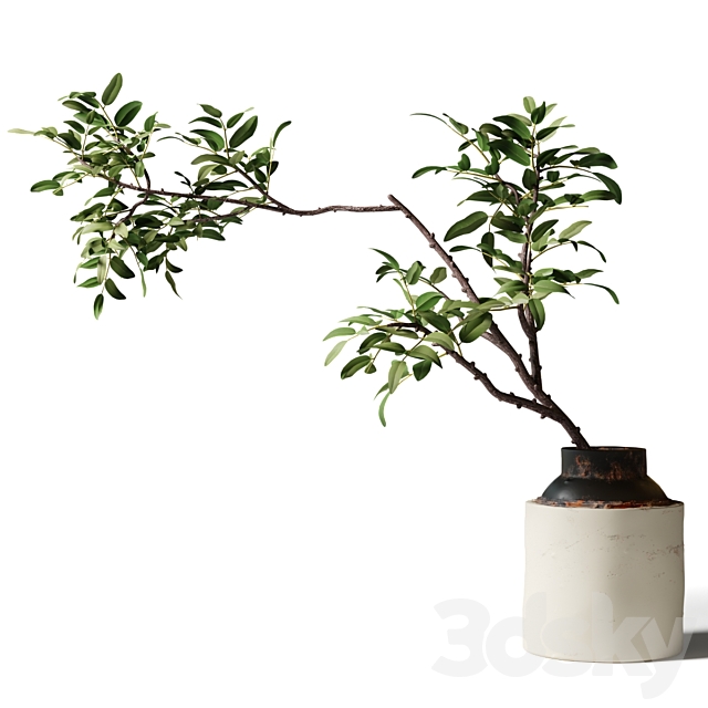 Branch with green leaves in an old metal vase 3ds Max - thumbnail 1