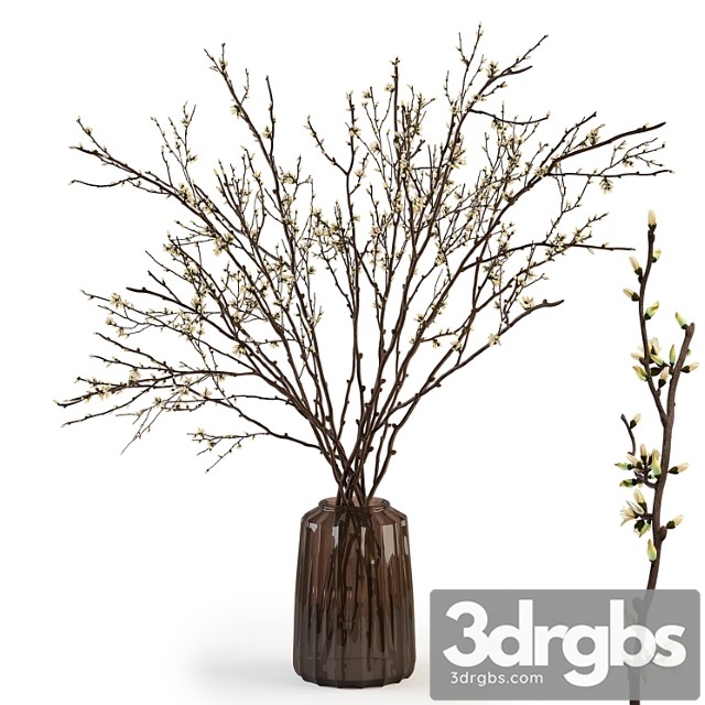 Branches in a Vase 015 3dsmax Download - thumbnail 1