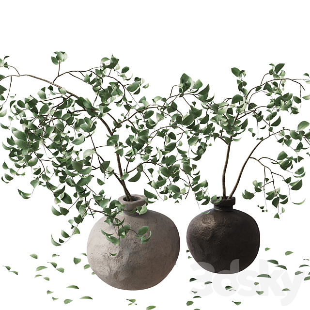 branches in a vase 3DS Max Model - thumbnail 6