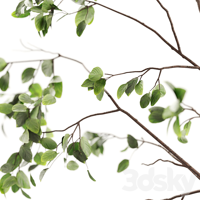 Branches in vases 02 3ds Max - thumbnail 3