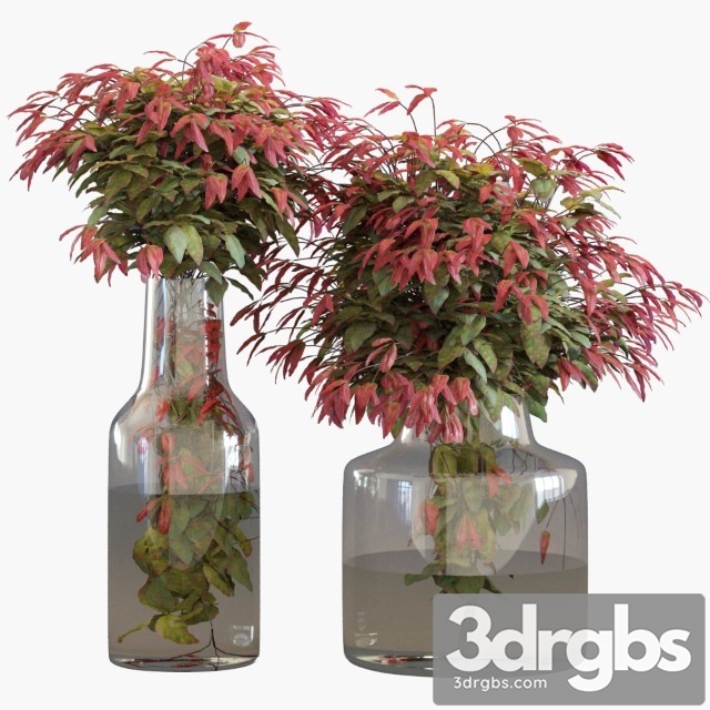 Branches in Vases 1 3dsmax Download - thumbnail 1