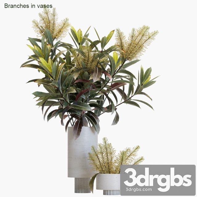 Branches in Vases 12 3dsmax Download - thumbnail 1