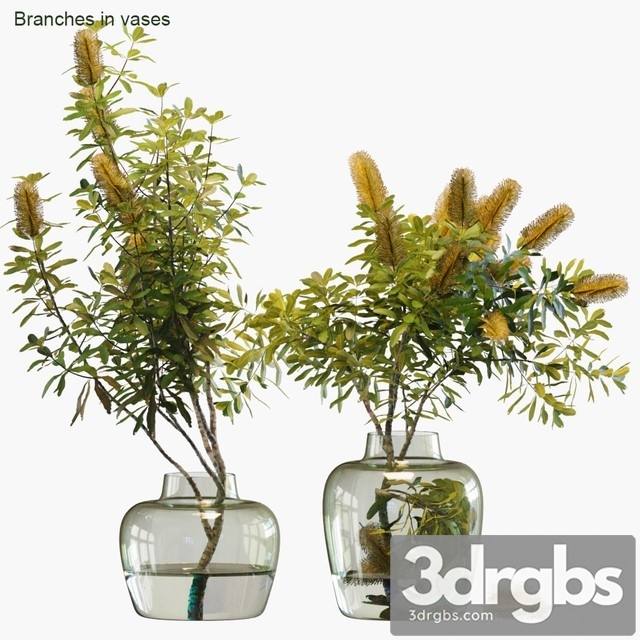 Branches in Vases 28 Banksia 3dsmax Download - thumbnail 1