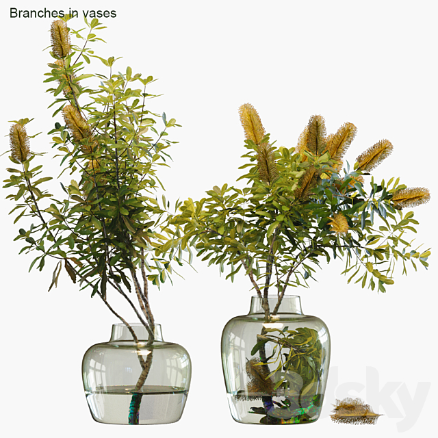 Branches in vases # 28: Banksia 3DSMax File - thumbnail 1