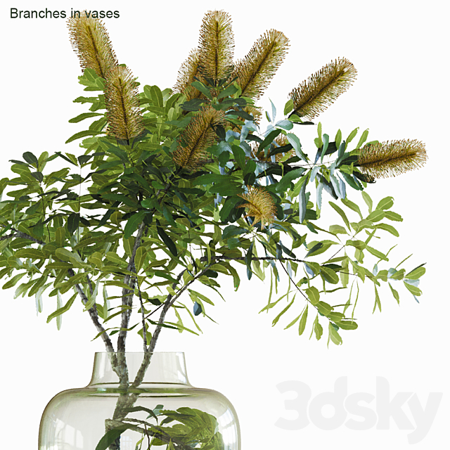 Branches in vases # 28: Banksia 3DSMax File - thumbnail 2