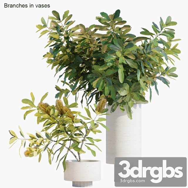 Branches in vases 29 - thumbnail 1