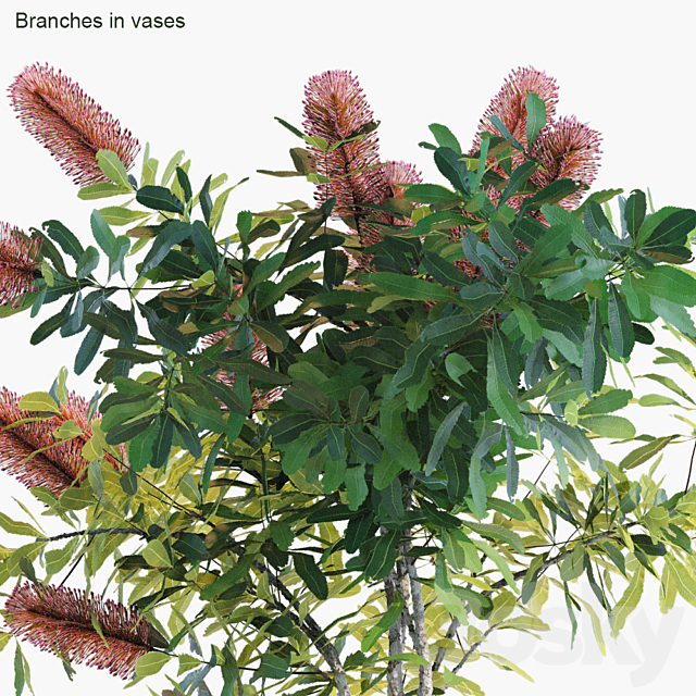 Branches in vases 31 3DSMax File - thumbnail 2