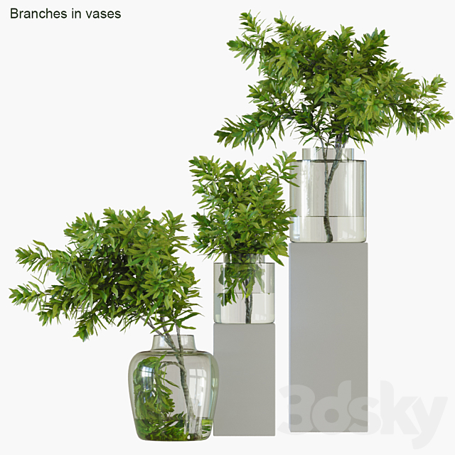 Branches in vases 32: Banksia plagiocarpa 3DSMax File - thumbnail 1