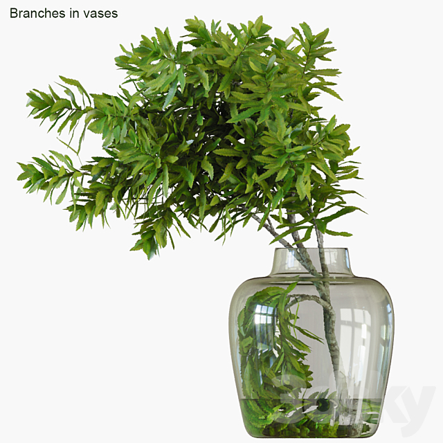 Branches in vases 32: Banksia plagiocarpa 3DSMax File - thumbnail 2