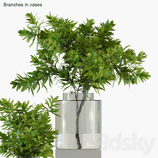 Branches in vases 32: Banksia plagiocarpa 3DSMax File - thumbnail 3