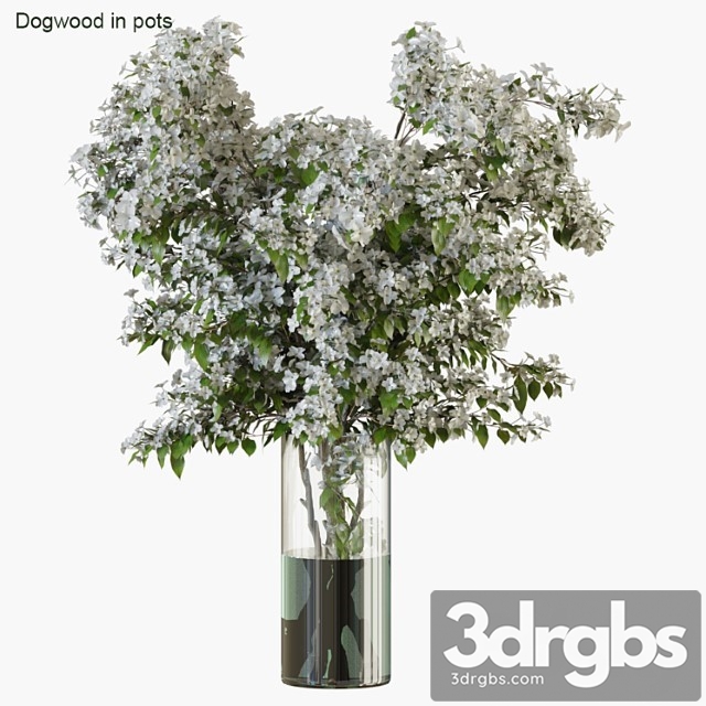 Branches In Vases 34 1 3dsmax Download - thumbnail 1