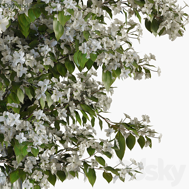 Branches in vases 34 3DSMax File - thumbnail 2