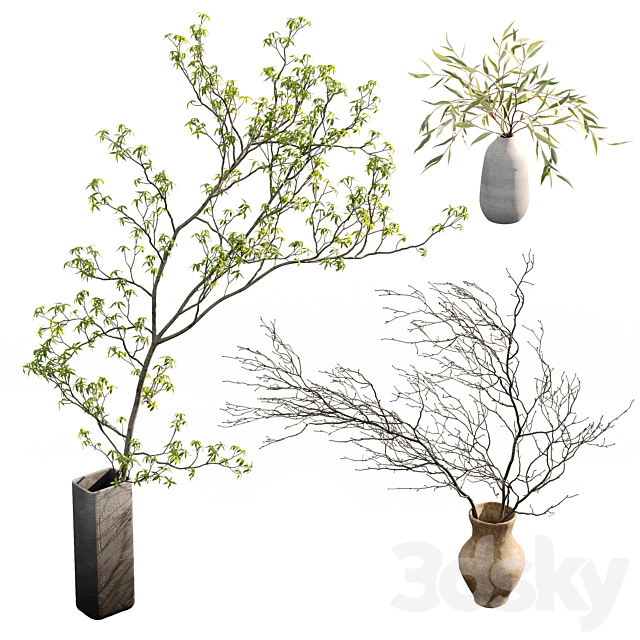 Branches in vases 3ds Max - thumbnail 1