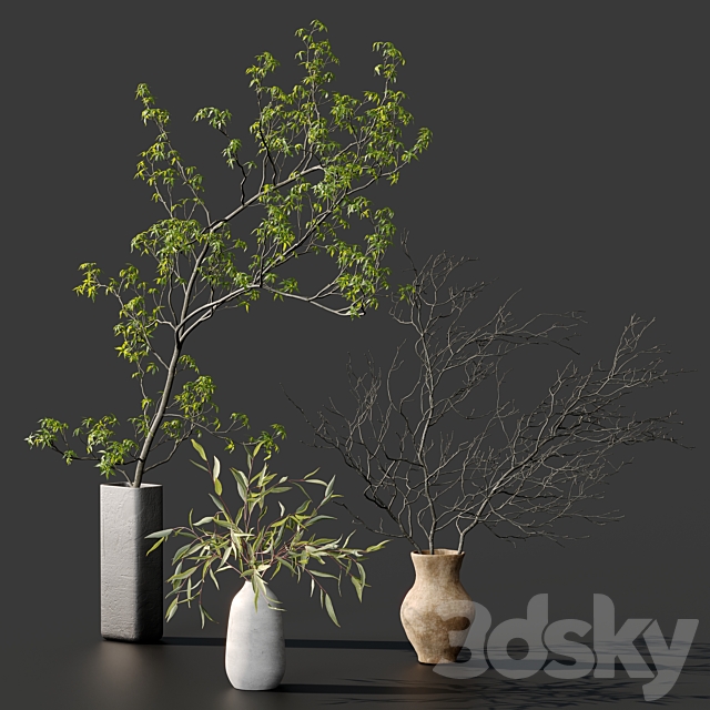 Branches in vases 3ds Max - thumbnail 3