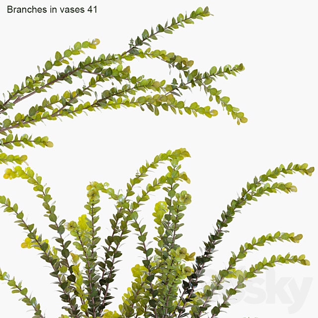 Branches in vases 41 3DSMax File - thumbnail 2