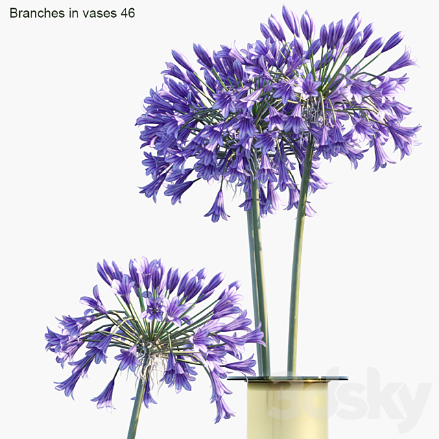 Branches in vases 46: Agapanthus 3ds Max - thumbnail 2