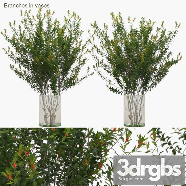 Branches in Vases Dragon Lady 3dsmax Download - thumbnail 1