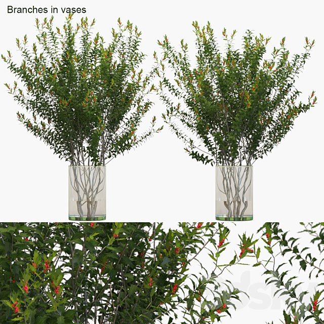 Branches in vases: Dragon Lady 3DSMax File - thumbnail 1