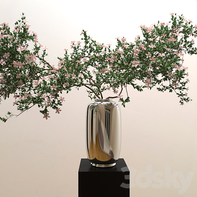 Branches of serrisa 3DSMax File - thumbnail 1