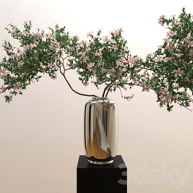 Branches of serrisa 3DSMax File - thumbnail 2