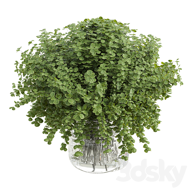 Branches plant with galss vase white – bouquet 36 3DS Max Model - thumbnail 2