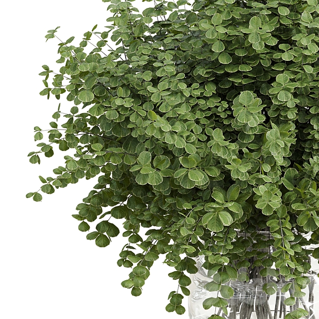 Branches plant with galss vase white – bouquet 36 3DS Max Model - thumbnail 3