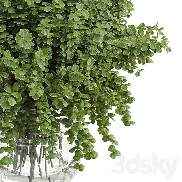 Branches plant with galss vase white – bouquet 36 3DS Max Model - thumbnail 4