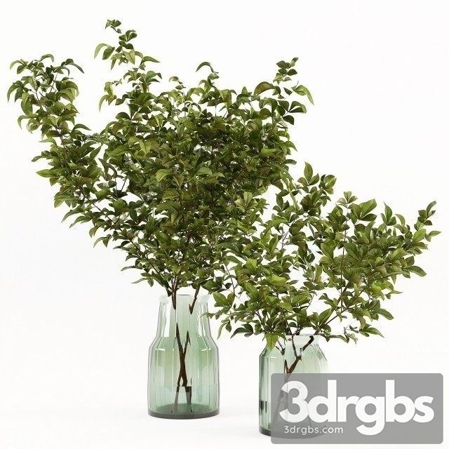 Branches Vase 2 3dsmax Download - thumbnail 1