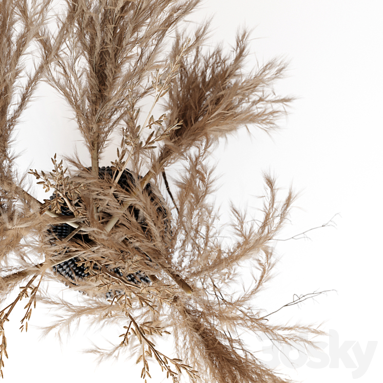 Brown pampas 3DS Max - thumbnail 2