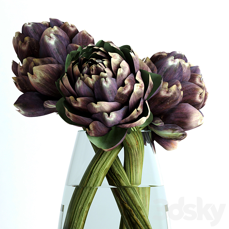 Burgundy Artichokes 3DS Max - thumbnail 2