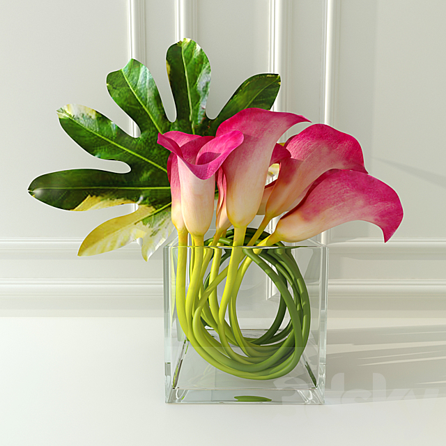 Calla lilies 3ds Max - thumbnail 1