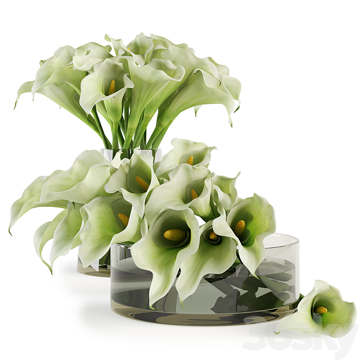 Calla lilies bouquets 3DS Max - thumbnail 2