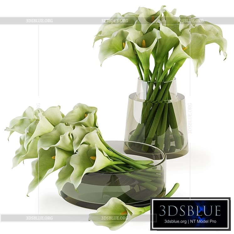 Calla lilies bouquets 3DS Max - thumbnail 3