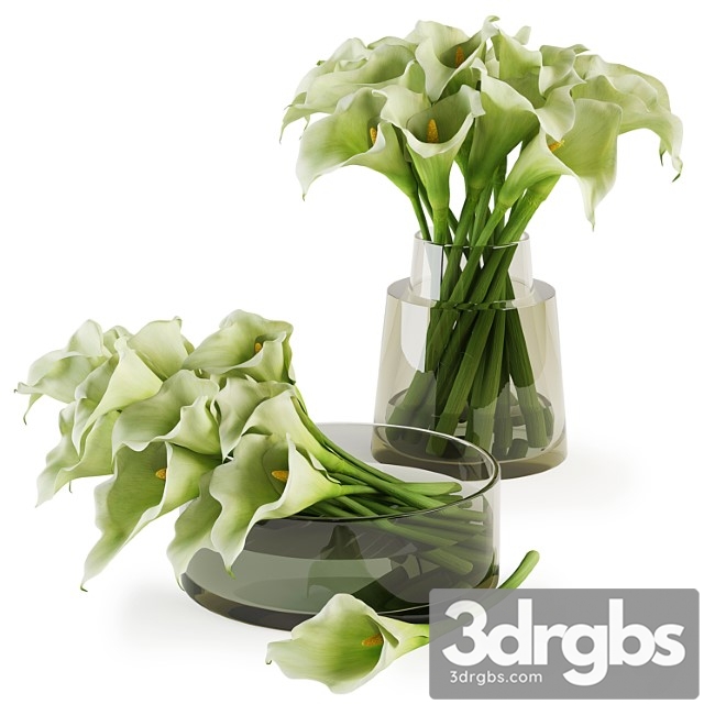 Calla lilies bouquets - thumbnail 1