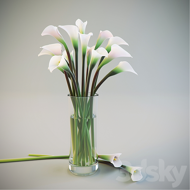 Calla Lilies in a vase 3ds Max - thumbnail 1