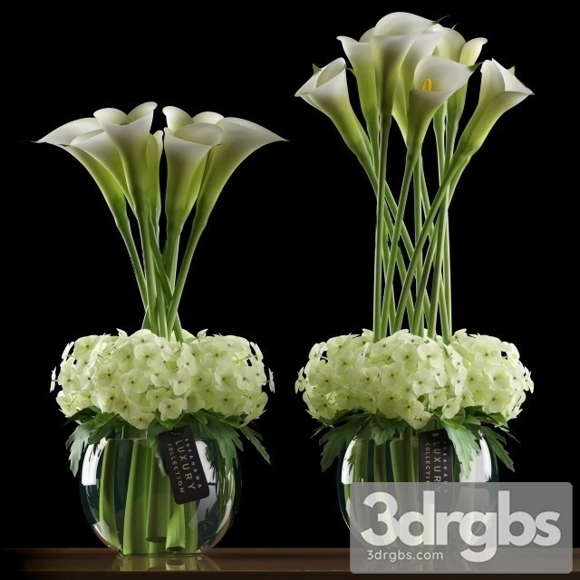 Calla Lilly 4 3dsmax Download - thumbnail 1