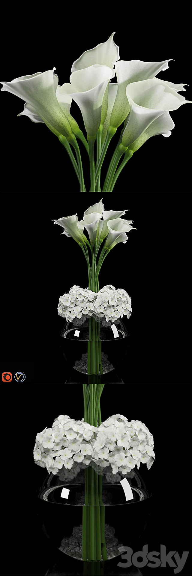 Calla Lily 2 3DSMax File - thumbnail 1