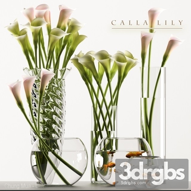 Calla Lily 3 3dsmax Download - thumbnail 1