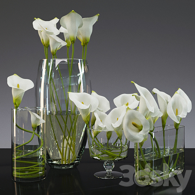 Calla lily 3ds Max - thumbnail 1