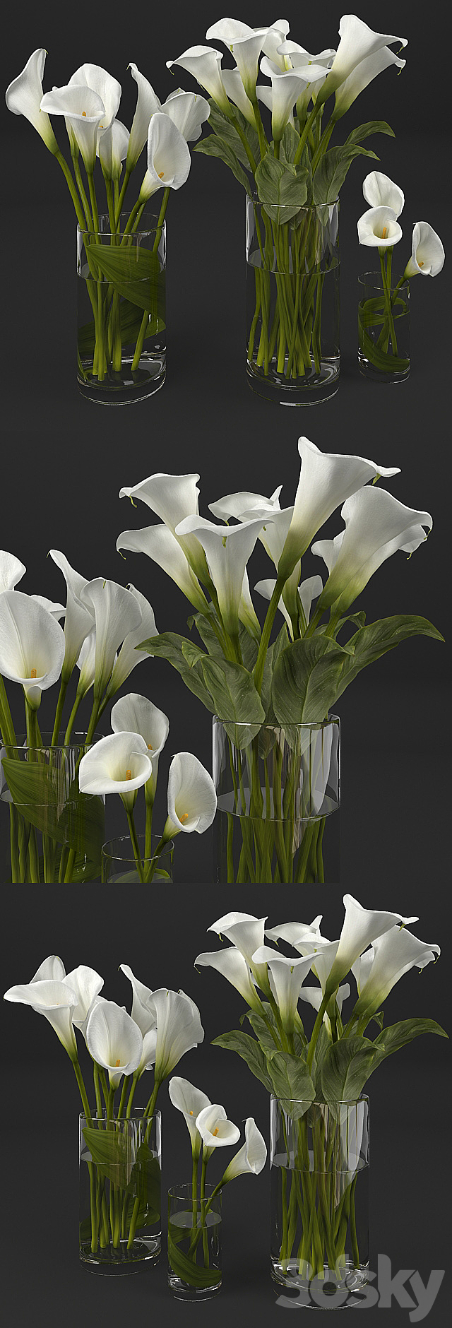 Calla lily 3DS Max Model - thumbnail 2