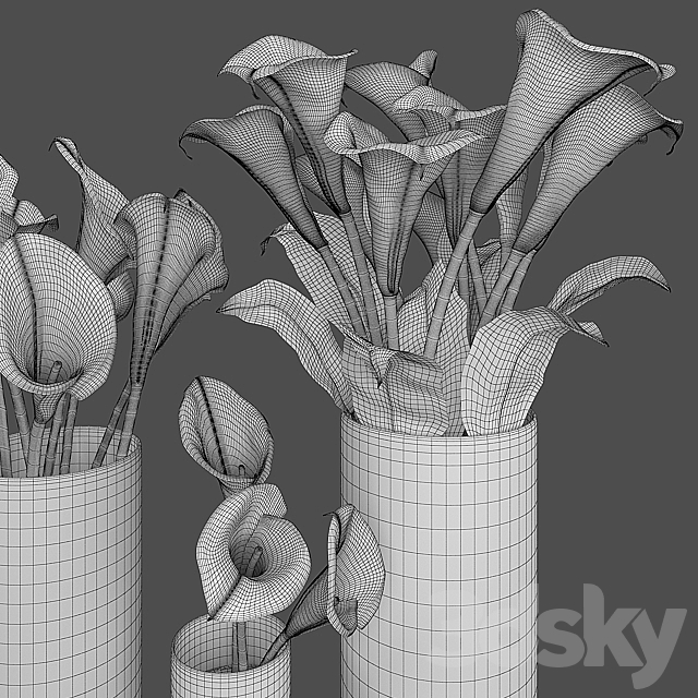 Calla lily 3DS Max Model - thumbnail 3