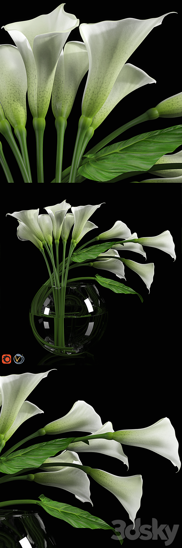 Calla Lily 3DSMax File - thumbnail 1