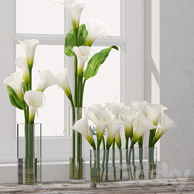 Calla Lily 5 3DSMax File - thumbnail 1