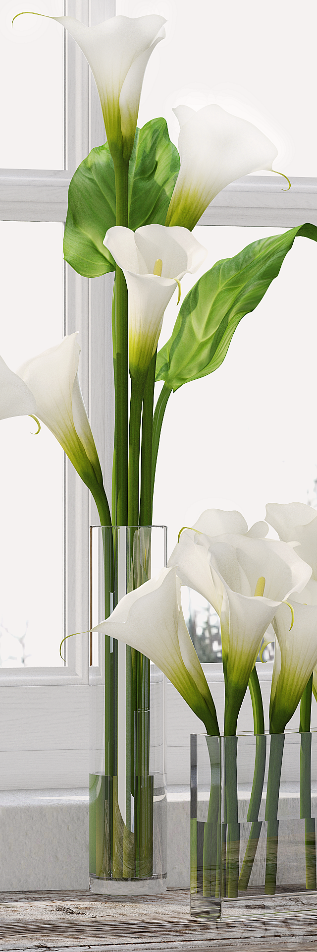 Calla Lily 5 3DSMax File - thumbnail 2