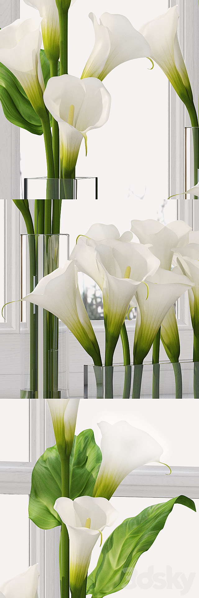 Calla Lily 5 3DSMax File - thumbnail 3