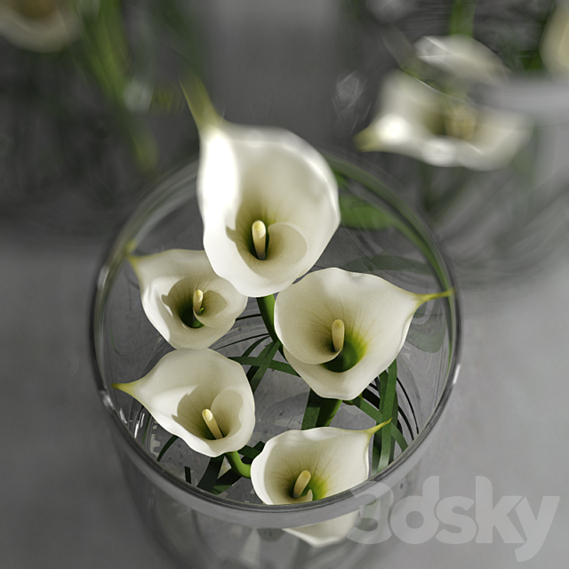 Calla Lily 6 3DSMax File - thumbnail 3