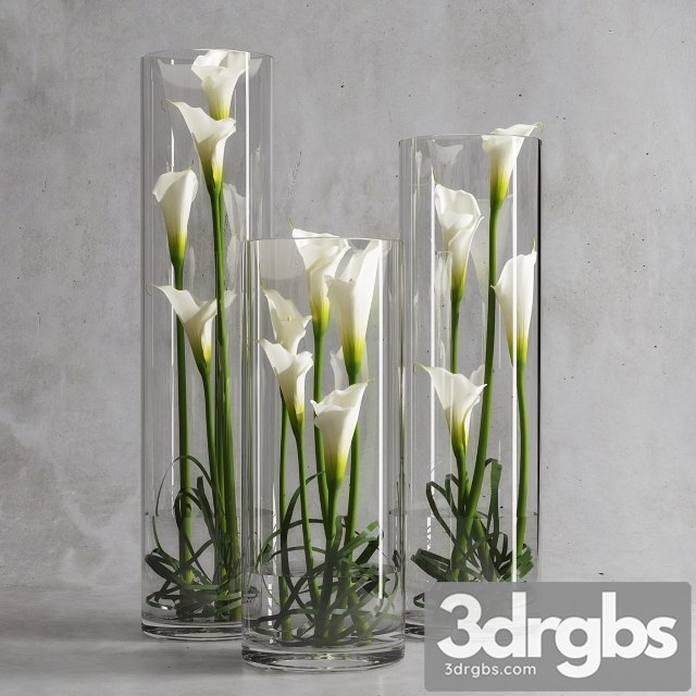 Calla Lily In Cup 3dsmax Download - thumbnail 1